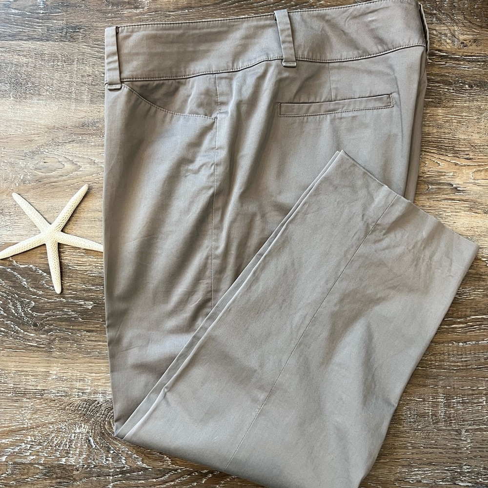 Ann Taylor Capri Pants